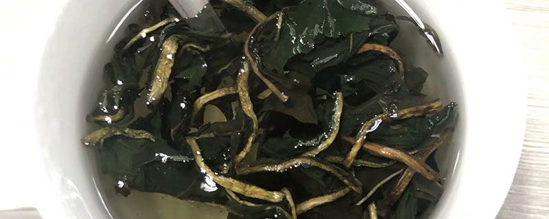 不锈钢304可以泡茶吗