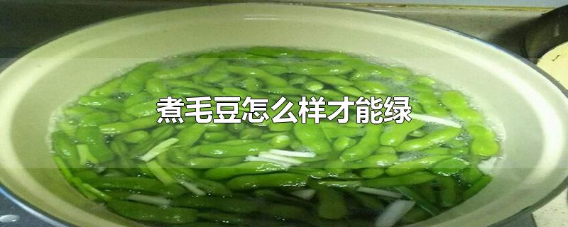 煮毛豆怎么样才能绿