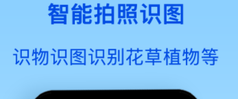 识别虫子的软件排行榜