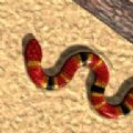 RealSnake