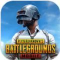 地铁逃生国际服(PUBGMOBILE)