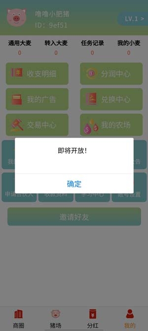 噜噜小肥猪APP下载-噜噜小肥猪官方版v1.0安卓版