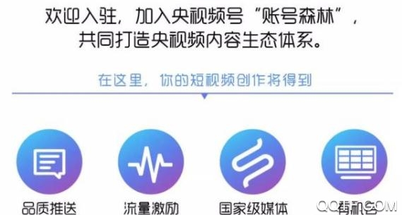 央视频APP下载-央视频App安卓版v2.5.0.51088最新版