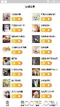 猫狗语翻译交流器APP下载-猫狗语言翻译交流器官方版v2.0最新版