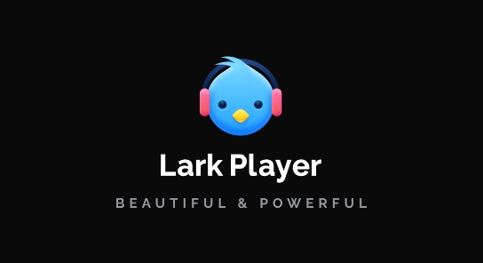 Lark PlayerAPP下载-LarkPlayer最新版(百灵鸟播放器)v5.27.68安卓版