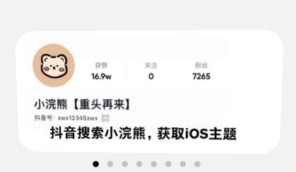 浣熊iOS15启动器APP下载-浣熊工具箱(浣熊iOS15启动器)app安卓版v1.3官方版