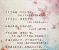 苹果诗词接龙游戏