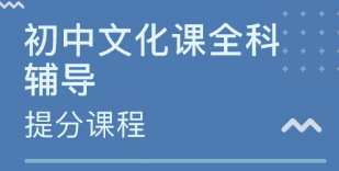 初中学习辅导软件合集