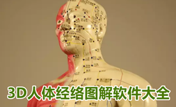 3D人体经络穴位图解软件大全