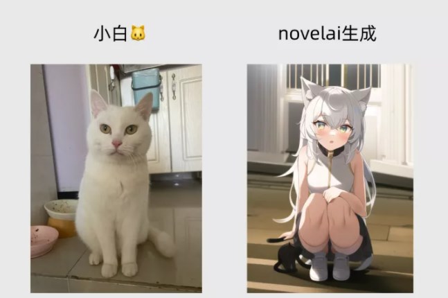 Novelai图像生成软件使用方法