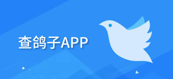 几款查鸽子app推荐