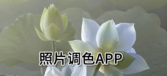 手机照片调色app大全