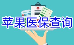 苹果医保查询软件大全