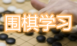 学围棋软件大全