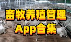 畜牧养殖管理App合集