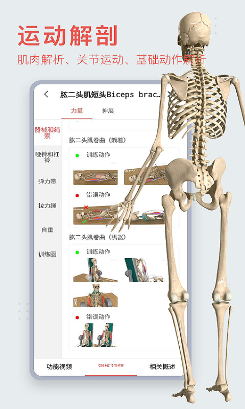 可以制作骨骼动画的软件有哪些