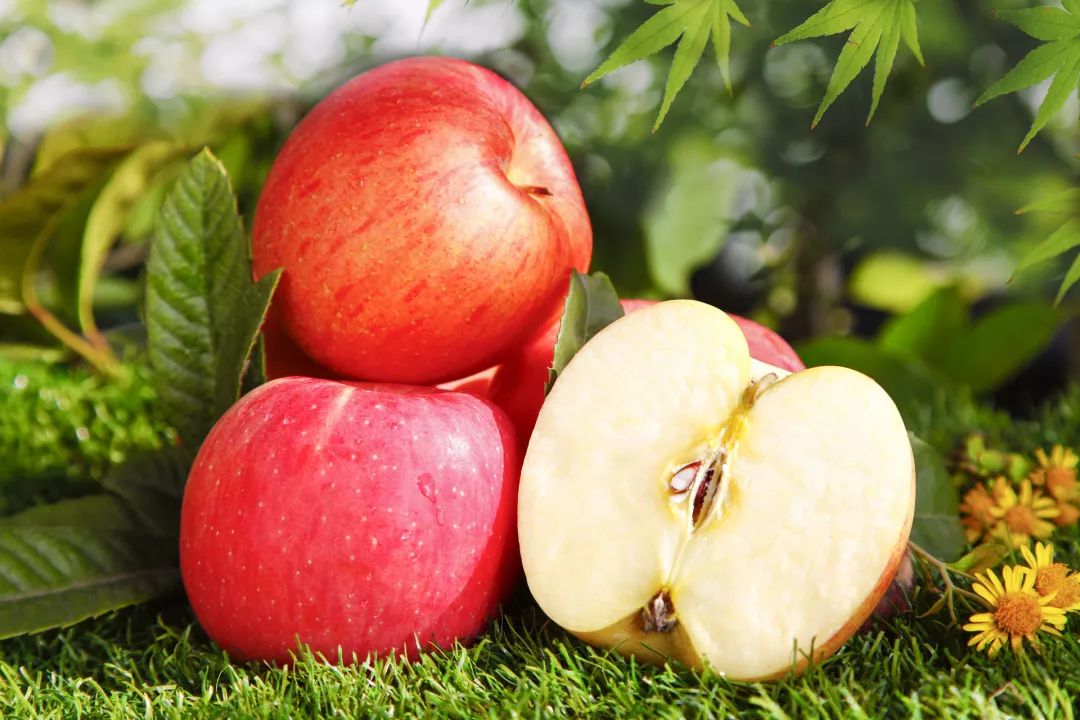养生秋天最适合吃的几种水果止咳防感冒快照着买吧