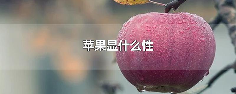 苹果显什么性-最新苹果显什么性整理解答