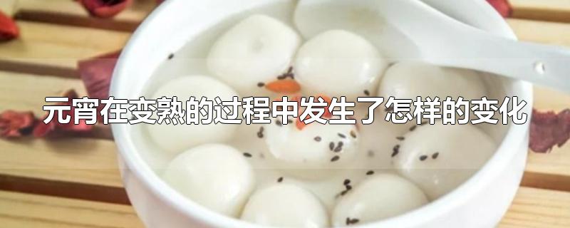 元宵在变熟的过程中发生了怎样的变化-最新元宵在变熟的过程中发生了怎样的变化整理解答