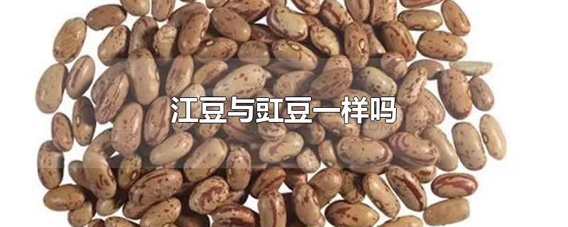 江豆与豇豆一样吗