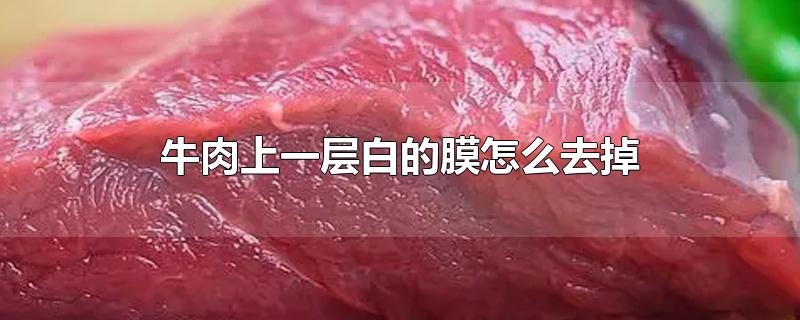 牛肉上一层白的膜怎么去掉-最新牛肉上一层白的膜怎么去掉整理解答