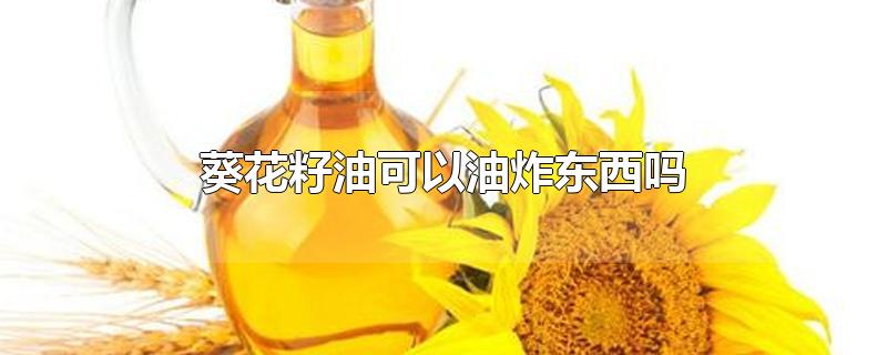 葵花籽油可以油炸东西吗-最新葵花籽油可以油炸东西吗整理解答