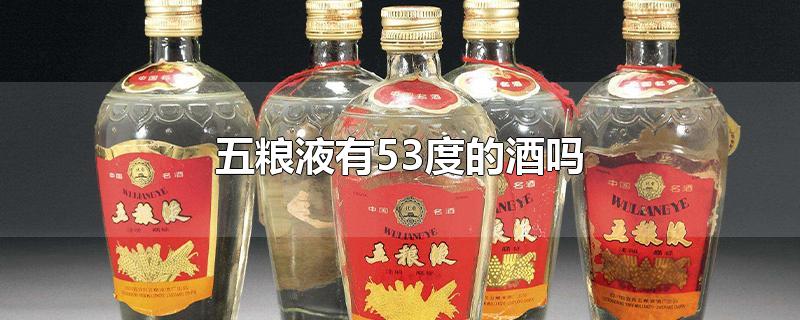 五粮液有53度的酒吗-最新五粮液有53度的酒吗整理解答