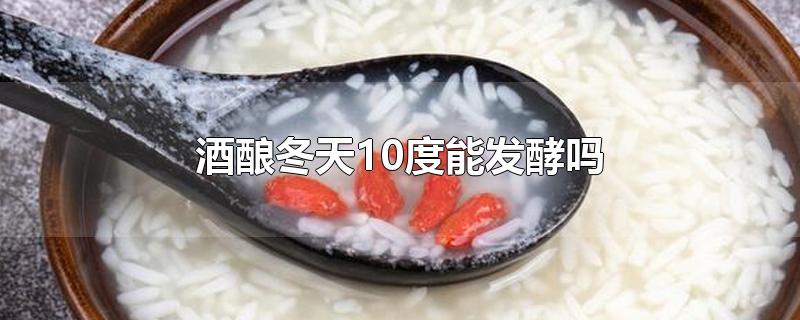 酒酿冬天10度能发酵吗-最新酒酿冬天10度能发酵吗整理解答