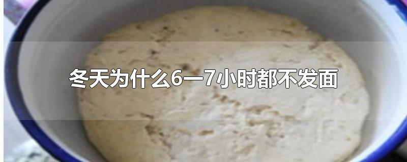 冬天为什么6一7小时都不发面