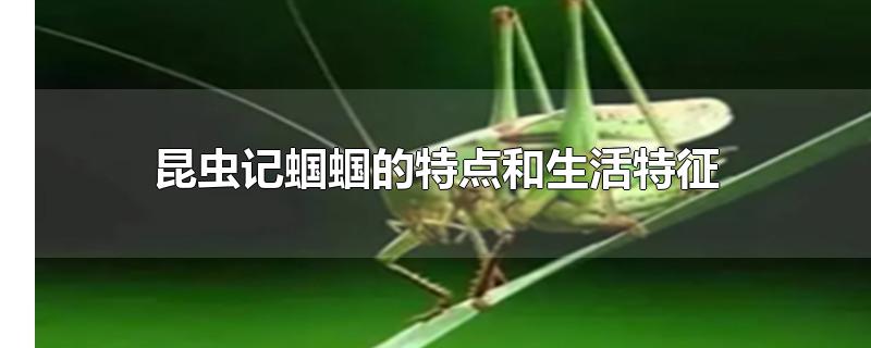 昆虫记蝈蝈的特点和生活特征