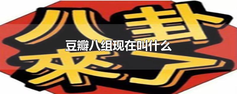 豆瓣八组现在叫什么-最新豆瓣八组现在叫什么整理解答