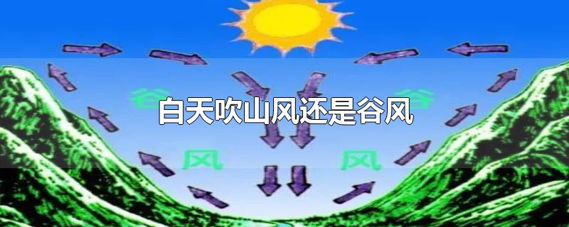 白天吹山风还是谷风-最新白天吹山风还是谷风整理解答