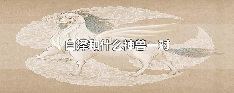 白泽和什么神兽一对-最新白泽和什么神兽一对整理解答