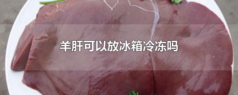 羊肝可以放冰箱冷冻吗-最新羊肝可以放冰箱冷冻吗整理解答