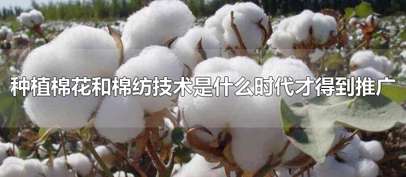 种植棉花和棉纺技术是什么时代才得到推广