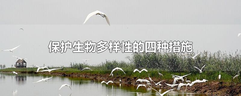 保护生物多样性的四种措施-最新保护生物多样性的四种措施整理解答