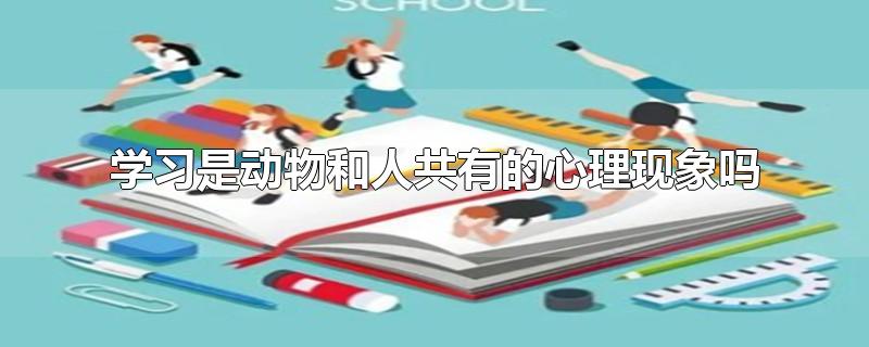 学习是动物和人共有的心理现象吗