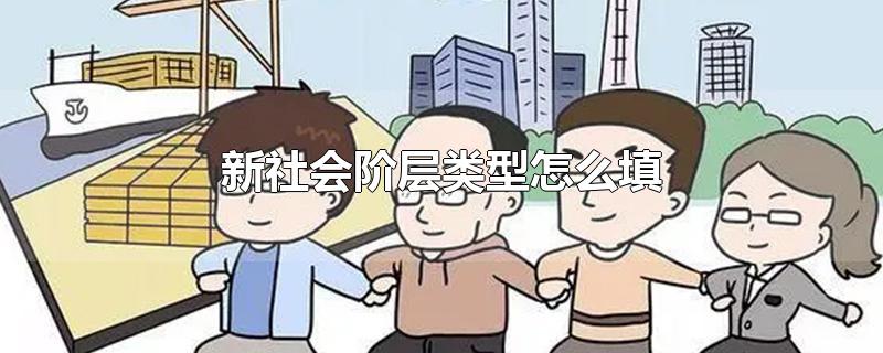 新社会阶层类型怎么填