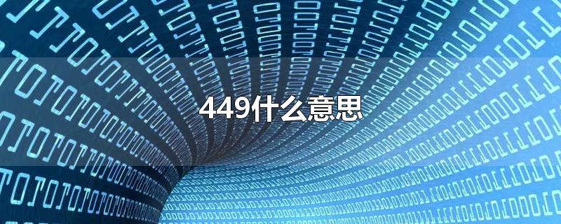 449什么意思