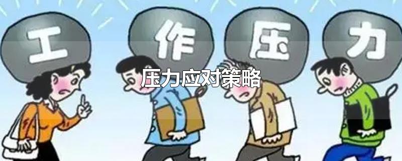 压力应对策略-最新压力应对策略整理解答