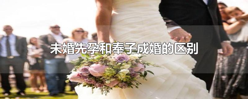 未婚先孕和奉子成婚的区别