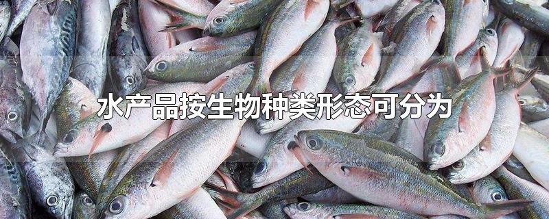 水产品按生物种类形态可分为