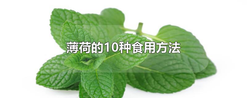 薄荷的10种食用方法