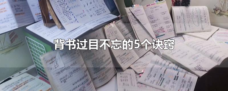 背书过目不忘的5个诀窍-最新背书过目不忘的5个诀窍整理解答