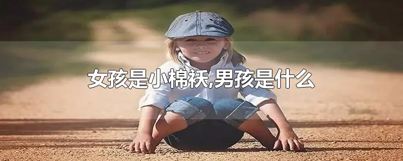 女孩是小棉袄,男孩是什么-最新女孩是小棉袄,男孩是什么整理解答