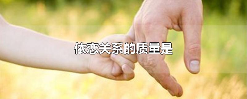 依恋关系的质量是-最新依恋关系的质量是整理解答