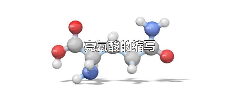 亮氨酸的缩写-最新亮氨酸的缩写整理解答