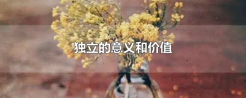 独立的意义和价值