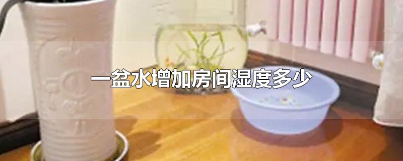 一盆水增加房间湿度多少-最新一盆水增加房间湿度多少整理解答