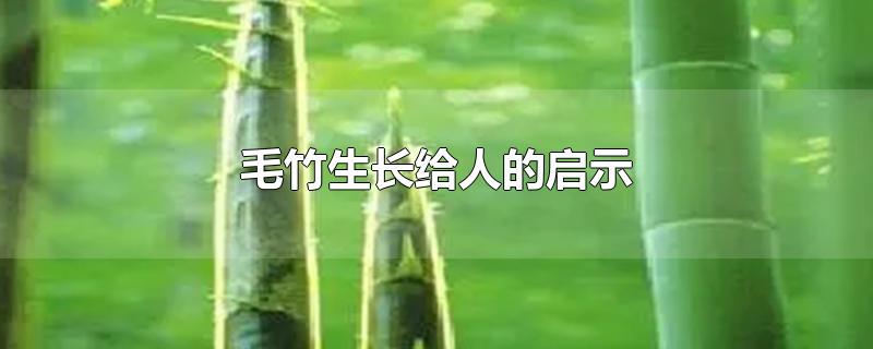 毛竹生长给人的启示-最新毛竹生长给人的启示整理解答